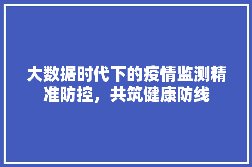 大数据时代下的疫情监测精准防控，共筑健康防线  第1张