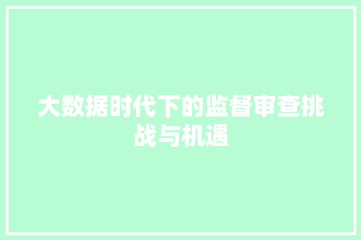 大数据时代下的监督审查挑战与机遇