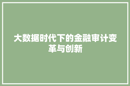 大数据时代下的金融审计变革与创新  第1张
