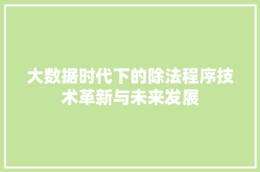 大数据时代下的除法程序技术革新与未来发展