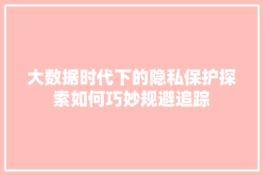 大数据时代下的隐私保护探索如何巧妙规避追踪  第1张