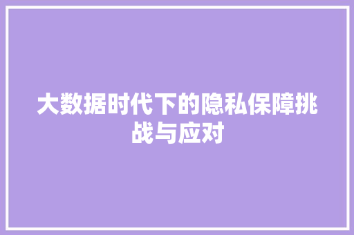 大数据时代下的隐私保障挑战与应对  第1张