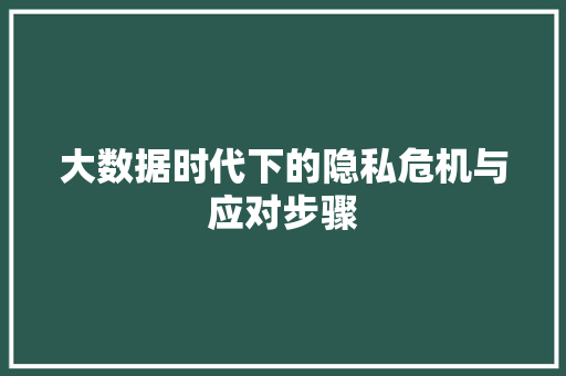 大数据时代下的隐私危机与应对步骤  第1张