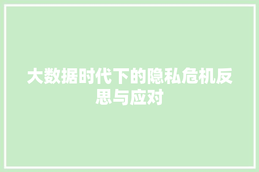 大数据时代下的隐私危机反思与应对  第1张