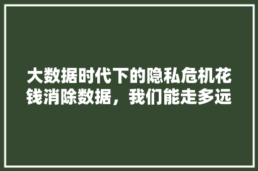 大数据时代下的隐私危机花钱消除数据，我们能走多远  第1张