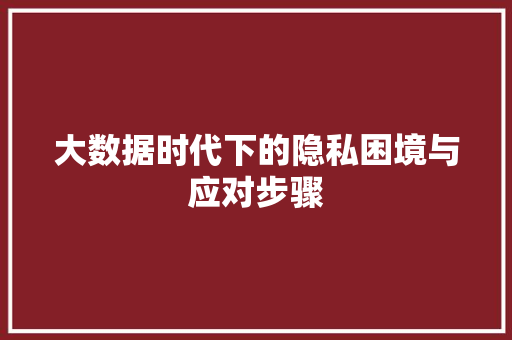 大数据时代下的隐私困境与应对步骤  第1张