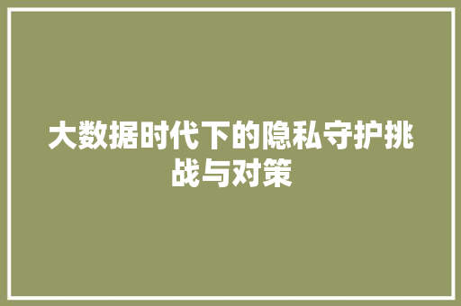 大数据时代下的隐私守护挑战与对策  第1张