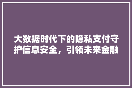 大数据时代下的隐私支付守护信息安全，引领未来金融潮流  第1张