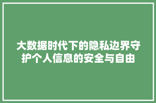 大数据时代下的隐私边界守护个人信息的安全与自由  第1张