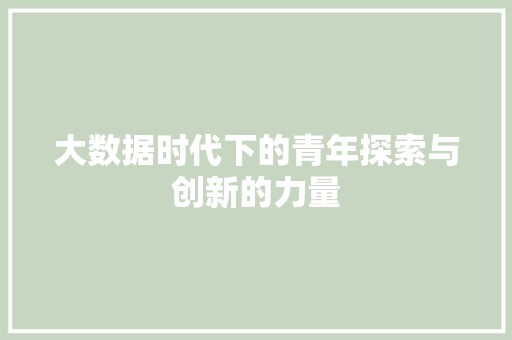 大数据时代下的青年探索与创新的力量  第1张