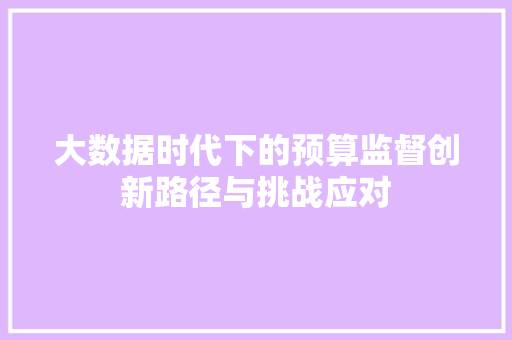 大数据时代下的预算监督创新路径与挑战应对