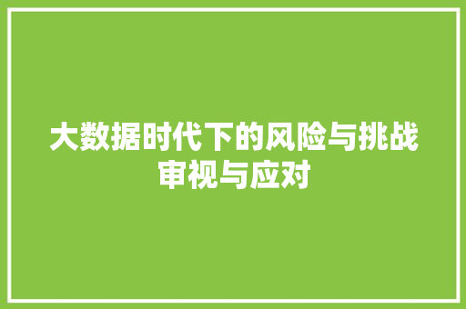 大数据时代下的风险与挑战审视与应对