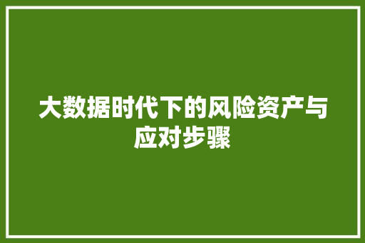 大数据时代下的风险资产与应对步骤