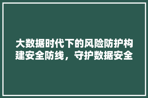 大数据时代下的风险防护构建安全防线，守护数据安全  第1张