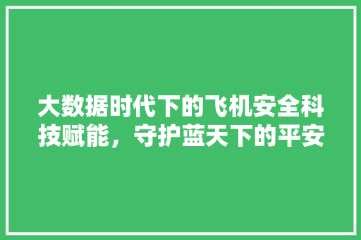 大数据时代下的飞机安全科技赋能，守护蓝天下的平安  第1张