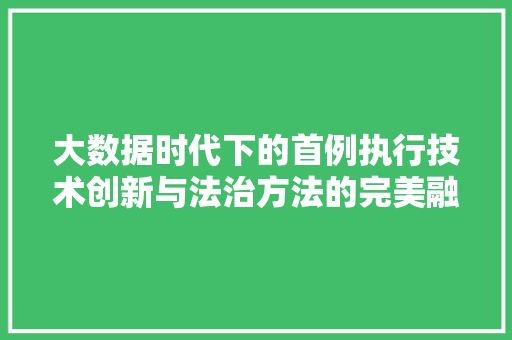 大数据时代下的首例执行技术创新与法治方法的完美融合