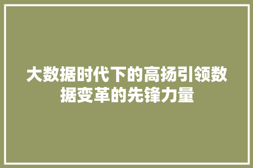 大数据时代下的高扬引领数据变革的先锋力量