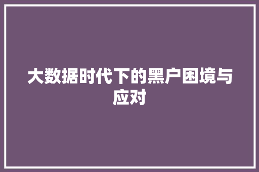 大数据时代下的黑户困境与应对