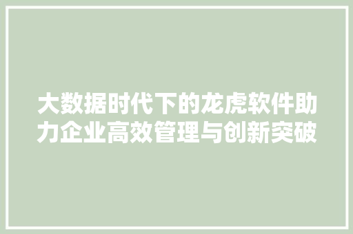 大数据时代下的龙虎软件助力企业高效管理与创新突破