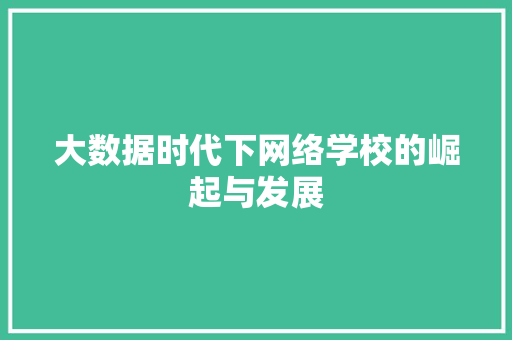 大数据时代下网络学校的崛起与发展