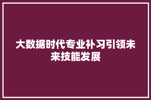 大数据时代专业补习引领未来技能发展  第1张