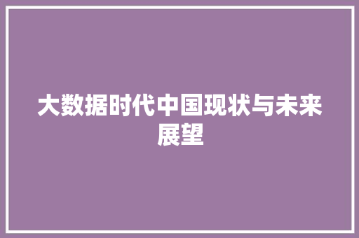 大数据时代中国现状与未来展望