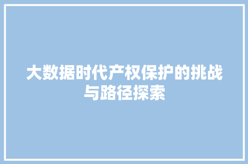 大数据时代产权保护的挑战与路径探索