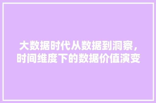 大数据时代从数据到洞察，时间维度下的数据价值演变  第1张