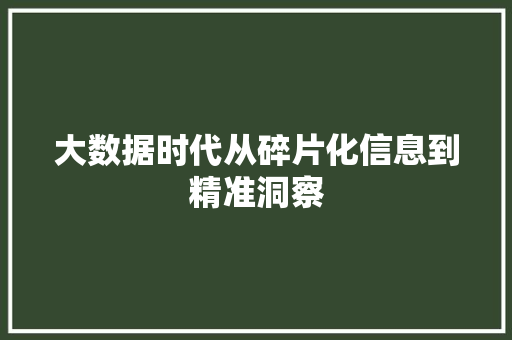 大数据时代从碎片化信息到精准洞察  第1张