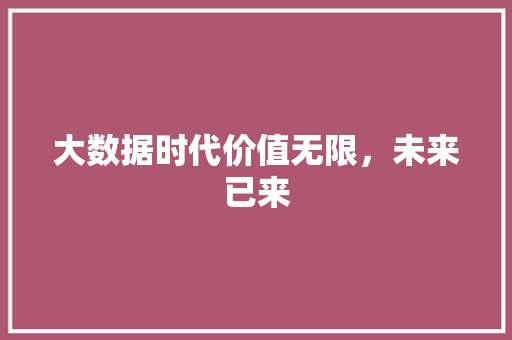 大数据时代价值无限，未来已来