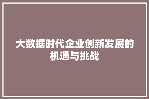 大数据时代企业创新发展的机遇与挑战  第1张