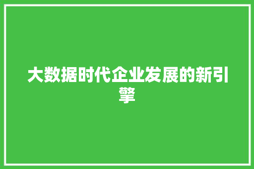 大数据时代企业发展的新引擎