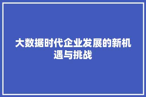 大数据时代企业发展的新机遇与挑战  第1张