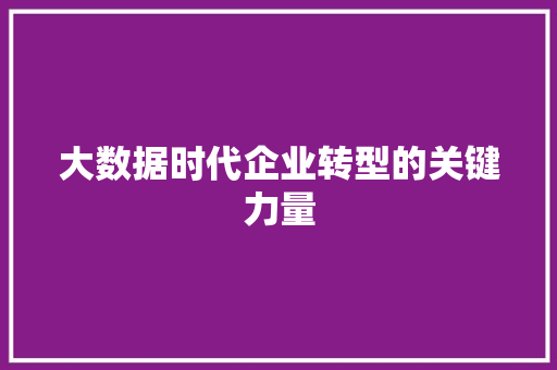 大数据时代企业转型的关键力量  第1张