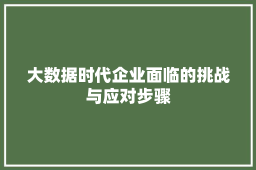 大数据时代企业面临的挑战与应对步骤  第1张