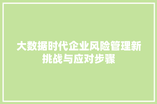 大数据时代企业风险管理新挑战与应对步骤  第1张