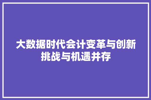 大数据时代会计变革与创新挑战与机遇并存  第1张