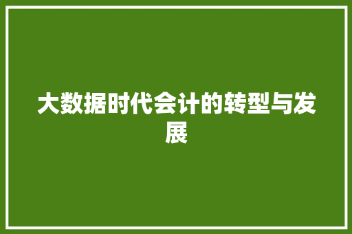 大数据时代会计的转型与发展  第1张