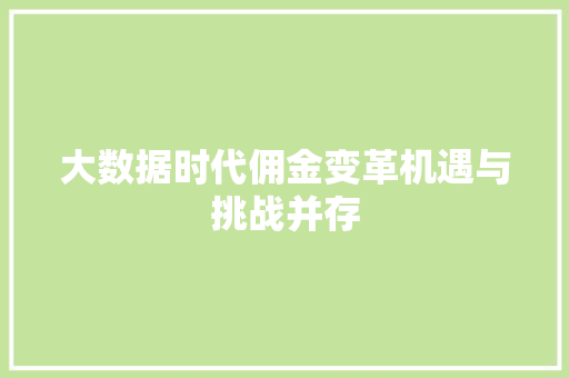 大数据时代佣金变革机遇与挑战并存