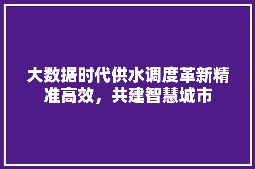 大数据时代供水调度革新精准高效，共建智慧城市