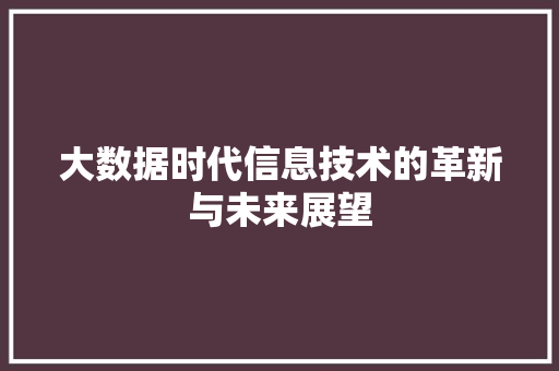 大数据时代信息技术的革新与未来展望