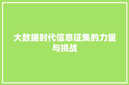大数据时代信息征集的力量与挑战