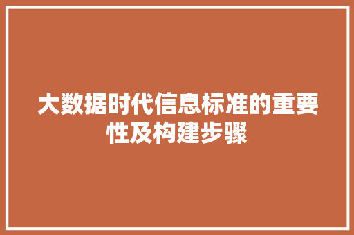 大数据时代信息标准的重要性及构建步骤