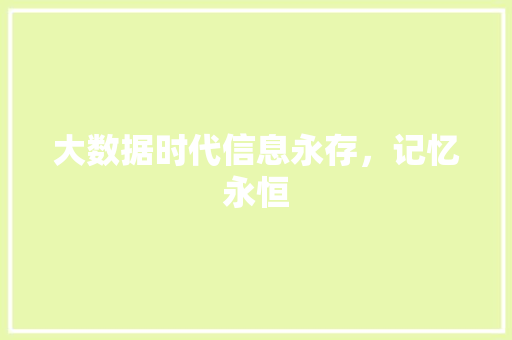 大数据时代信息永存，记忆永恒
