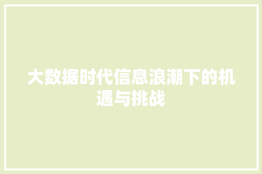 大数据时代信息浪潮下的机遇与挑战