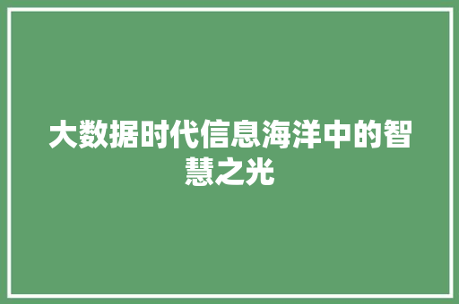 大数据时代信息海洋中的智慧之光  第1张