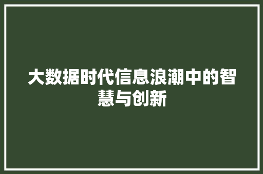 大数据时代信息浪潮中的智慧与创新  第1张