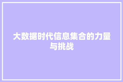 大数据时代信息集合的力量与挑战  第1张