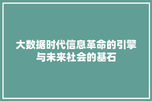 大数据时代信息革命的引擎与未来社会的基石  第1张