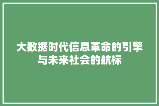 大数据时代信息革命的引擎与未来社会的航标  第1张